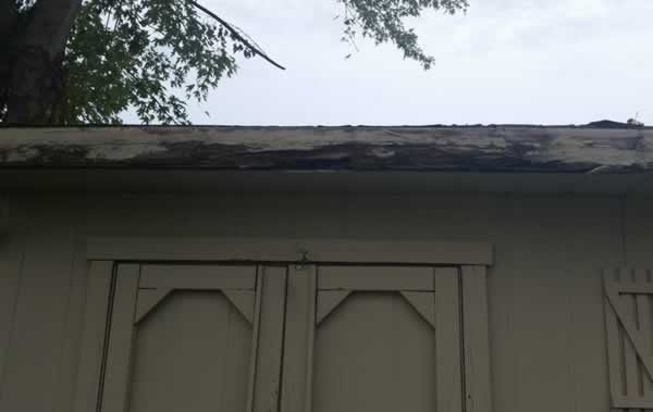 shed-repairs-wood-replacement-nj