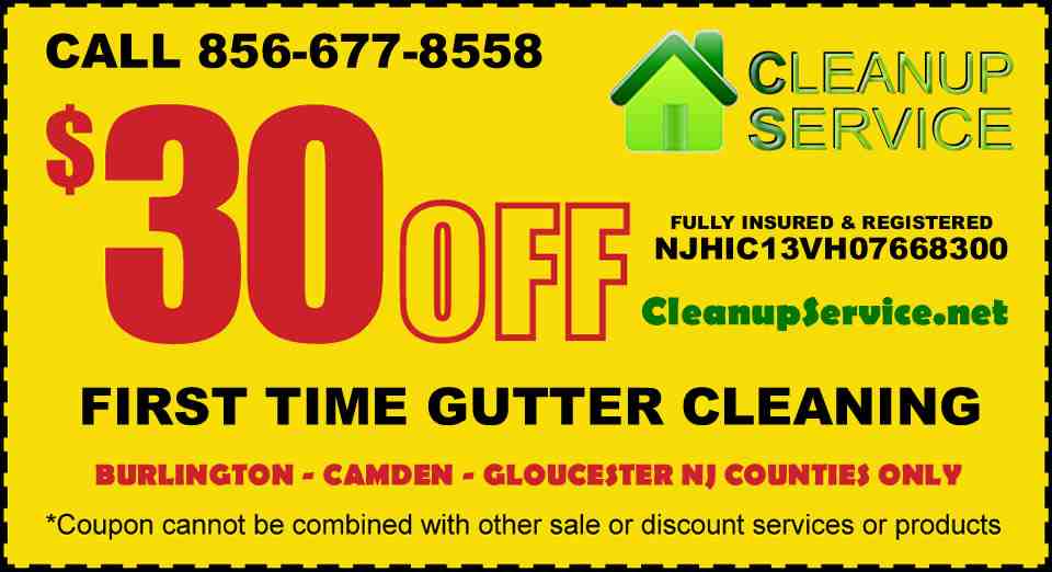 Cleanup Service - South Jersey Gutter Cleaning Repairs ...