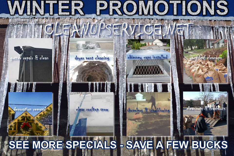 Cleanup Service South Jersey Gutter Cleaning Property Home Service Yard Maintenance Specials