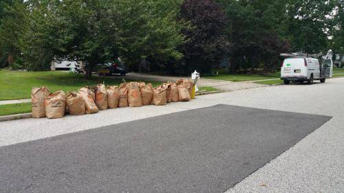 bagged-leaf-cleanups-south-jersey
