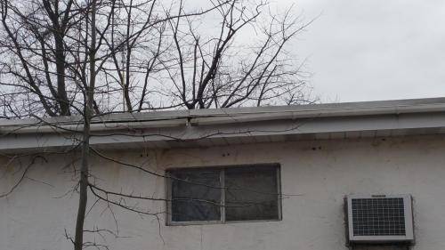 bank-reo-property-gutter-repairs-cleanup-nj